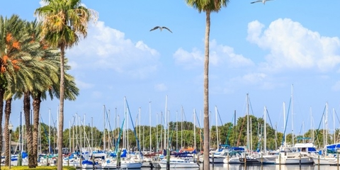 Tampa Bay