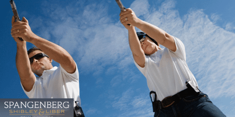 What are the Main Causes of Police Brutality? Photo