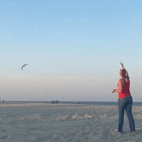 Jessica on the beach in New Jersey Photo