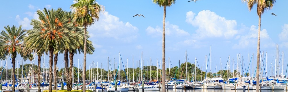 Tampa Bay