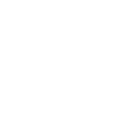 Spangenberg Shibley & Liber LLP